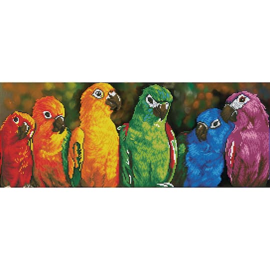 Diamond Dotz&#xAE; Intermediate Rainbow Parrots Diamond Painting Kit